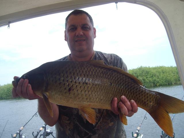 capturi - SANY0713.JPG